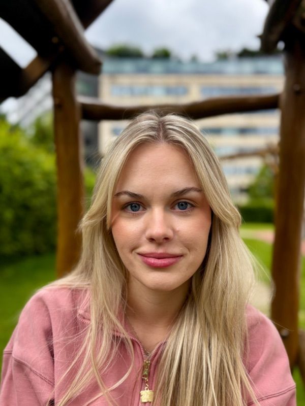 Ms tym novotna